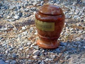 Photo-titre pour cet album: CAP FALCONE
