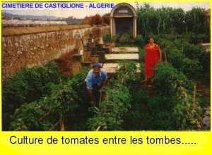  CASTIGLIONE 