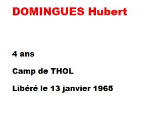   Hubert DOMINGUES 
