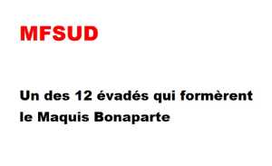   MFSUD 
