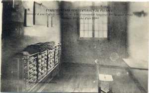  Une Cellule
