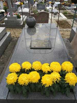  Tombe du Commandant    
Paul BAZIN  
 GARCHES le 5 Novembre 2016
