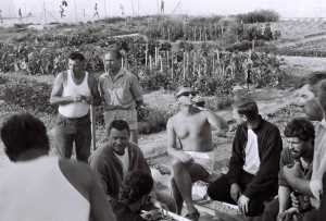 Un pique-nique dans le potager - 2