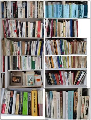 Photo-titre pour cet album: BIBLIOTHEQUE de REGIS GUILLEM
