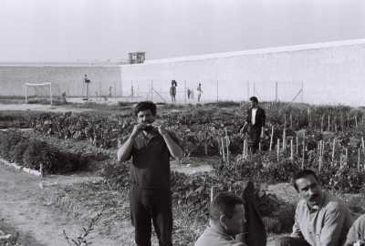  Pierre MAGADE 
et Alphonse CONSTANTIN
dans le jardin
