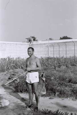   Lajos MARTON 
dans le potager