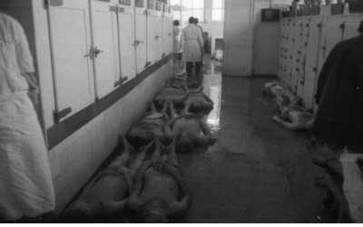  ALGER le 26 MARS 1962 
La Morgue de l'Hopital Mustapha
