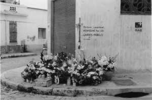  X8 - Membre Colline Oran/Choupot 