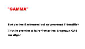  "GAMMA" 