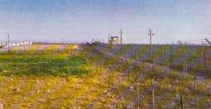  Camp d'internement 
de PAUL-CAZELLES 
----
LUCIDO Vincent - 1 an
