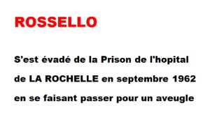   ROSSELLO 