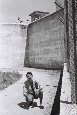  Armand BELVISI 