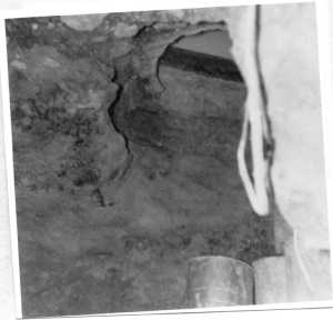  Le TUNNEL 