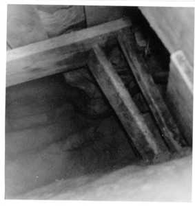  Le TUNNEL 