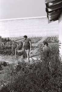   Roland TALTAVULL  
dans le jardin