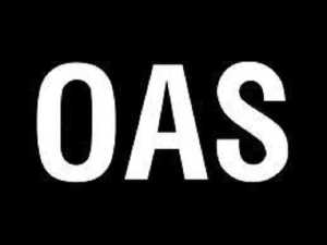  OAS 
