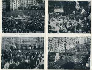 Manifestations sur le Forum 
