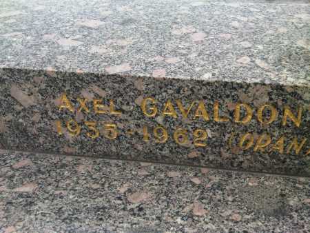  Lieutenant GAVALDON 
VICHY 2010 