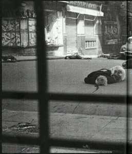  ALGER le 26 Mars 1962 
----   
Photos des cadavres dans la rue
