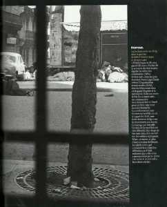  ALGER le 26 Mars 1962 
----  
Photos des cadavres dans la rue

