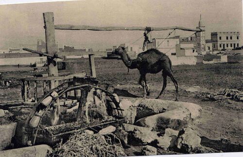 ORIGINE DU NOM