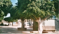LE VILLAGE