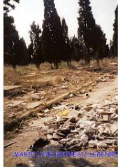 SIDI BEL ABBES CIMETIERE JUIF
