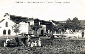 2298- Morris - Exploitation Jerome et Victor - Cave