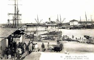 2379- Oran - Port - Criee aux Poissons - 1906