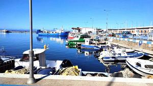 04 - Rosas - Port