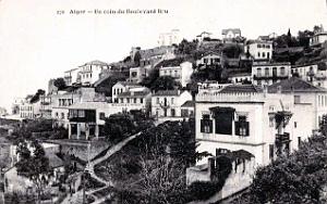 Alger - Boulevard Bru - Coin - 1920