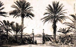Alger - Jardin Marengo - Entree - 1906