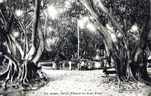 Alger - Jardin d'essai - Rond-Point