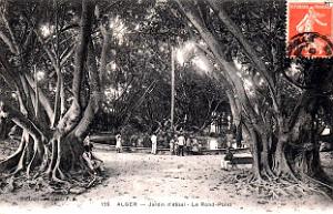 Alger - Le Jardin d'essai - Le Rond-point