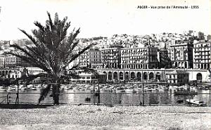 Alger - Vue de l'Amiraute - 1955