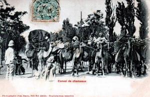 Algerie - Convoi de Chameaux - 1904
