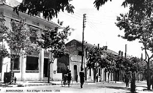 Berrouaghia - Rue d'Alger - La Poste - 1956