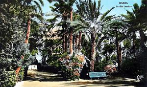 Biskra - Jardin Landon - Allee