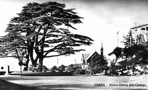 Chrea - Notre-Dame des Cedres - 1945