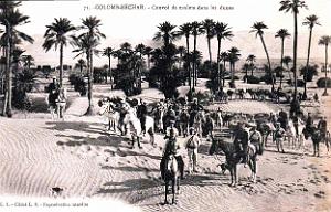 Colomb-Bechar - Convoi de Mulets dans les Dunes