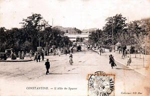 Constantine - Allee des Squares - 1905