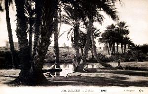 Doucen - Biskra - Oasis - 1915