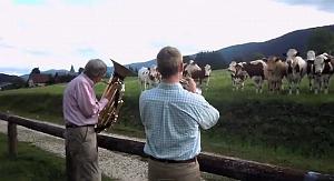 102 DU JAZZ POUR LES VACHES