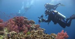 112 PLONGEE AUX ILES TONGA FIDJI