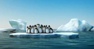 144 PINGOUINS MALINS