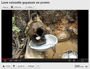 191 LAVE VAISSELLE GUYANAIS