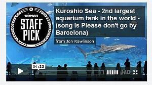 197Kuroshio Sea - 2nd largest aquarium tank in the world