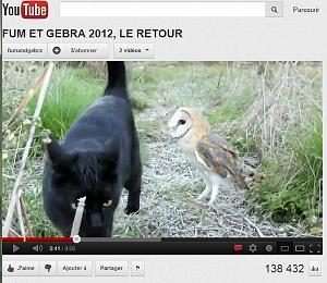 214 FUM ET GEBRA