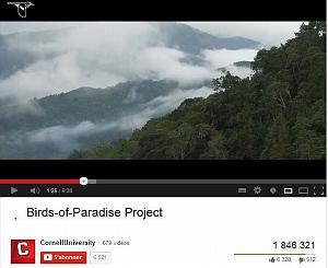 271 Birds-of-Paradise Project 