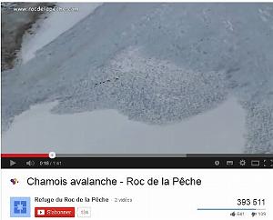 291 Chamois avalanche - Roc de la Peche 